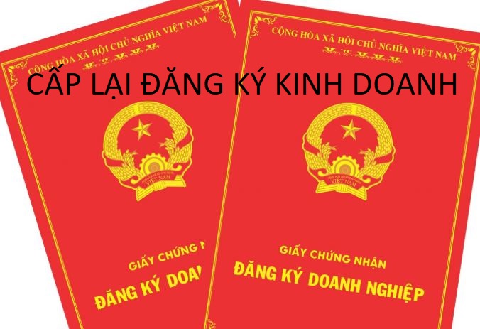 Thu-tuc-cap-lai-giay-dang-ky-doanh-nghiep